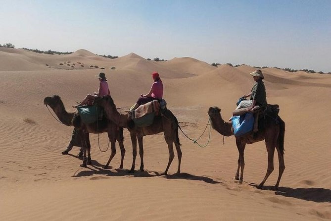 Trekking in Morocco / Atlas Mountains and Sahara Trek (5days) - What the $576.88 price includes