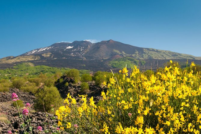 Trekking in the morning on Mount Etna - Transport and pickup from Catania