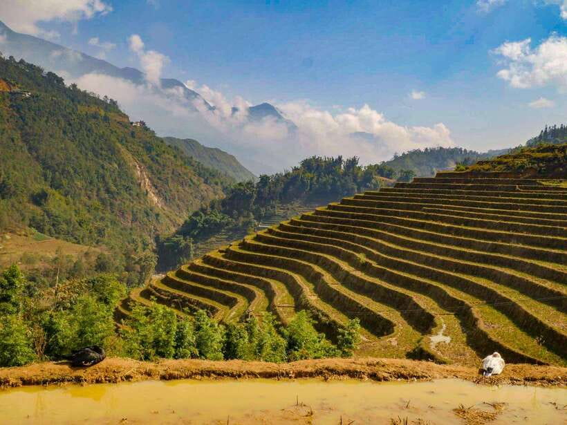 Trekking Sapa 1 Day With Local Guide, Terraced Rice Fields - Why this Sapa trek is worth your time