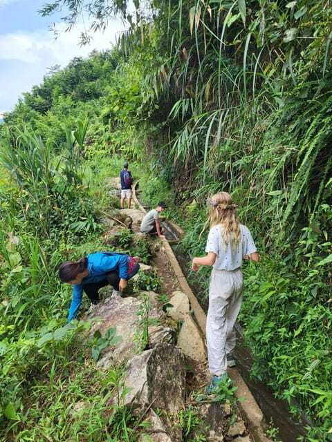 Trekking Sapa 1 Day With Local Guide, Terraced Rice Fields - The rice terraces and Hoang Lien Son views
