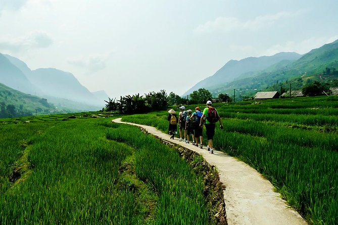 Trekking Through Rice Terraced Fields - 1Day - Lao Chai and the Black Hmong valley