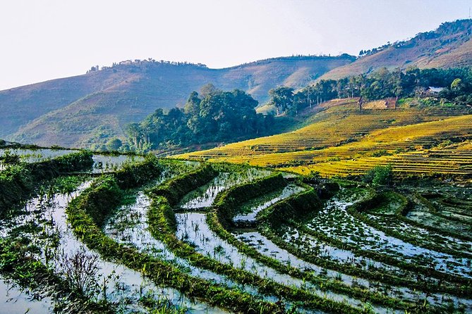 Trekking Through Rice Terraced Fields - 1Day - What is included for $45?
