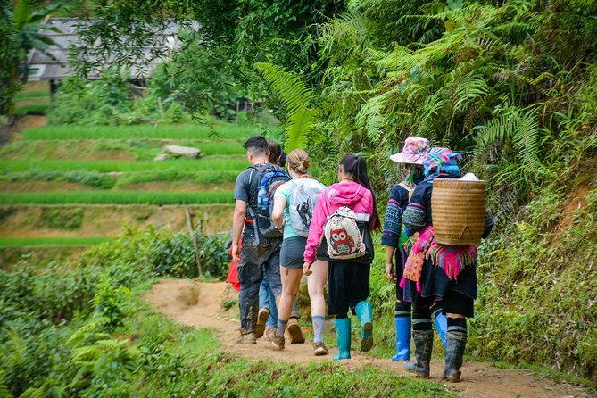 Trekking Through Rice Terraced Fields - 1Day - The best reasons to book this tour