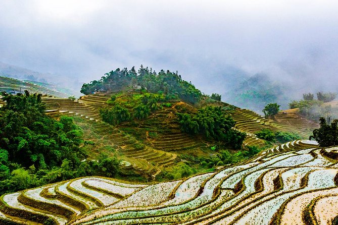 Trekking Through Rice Terraced Fields - 1Day - Things to know before you go