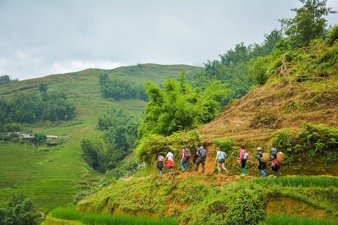 Trekking Through Rice Terraced Fields - 1Day - Ta Van and the Giay community