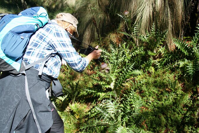 Trekking Through The Volcanoes - Guides, group size, and the human side of the walk