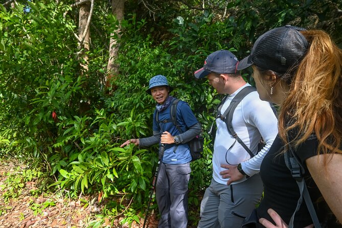 Trekking Tien Son Dinh Phu Quoc - What you learn between the trees