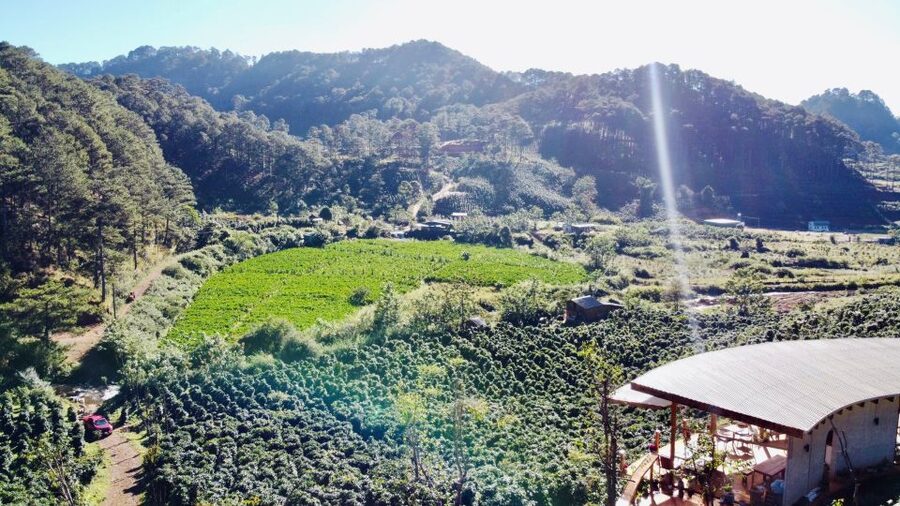 Trekking to Hidden Waterfall & Sturgeon Farm for dog-lovers - Key points at a glance