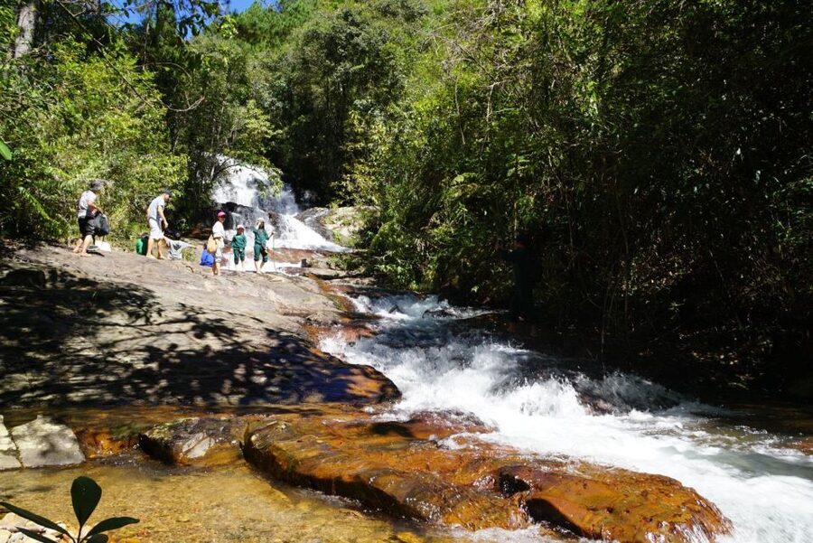 Trekking to Hidden Waterfall & Sturgeon Farm for dog-lovers - Why this small tour feels different from a Da Lat city stop