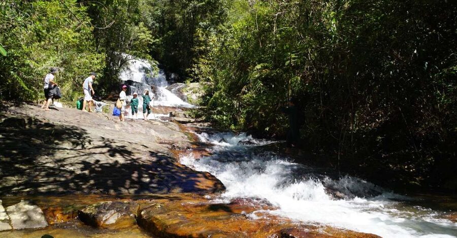 Trekking to Hidden Waterfall & Sturgeon Farm for dog-lovers - The first 30 minutes through the forest