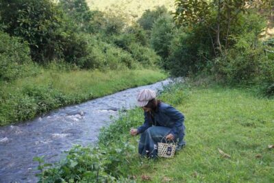 Trekking to Hidden Waterfall & Sturgeon Farm for dog-lovers