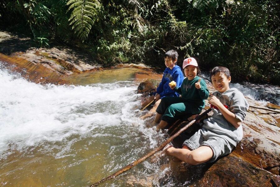 Trekking to Hidden Waterfall & Sturgeon Farm for dog-lovers - Guides, dogs, and the human side of the outing