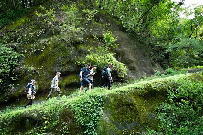 Trekking Tour to Faith, Ancient Paths and the Falls from Hitachi - What the $833.05 price really covers
