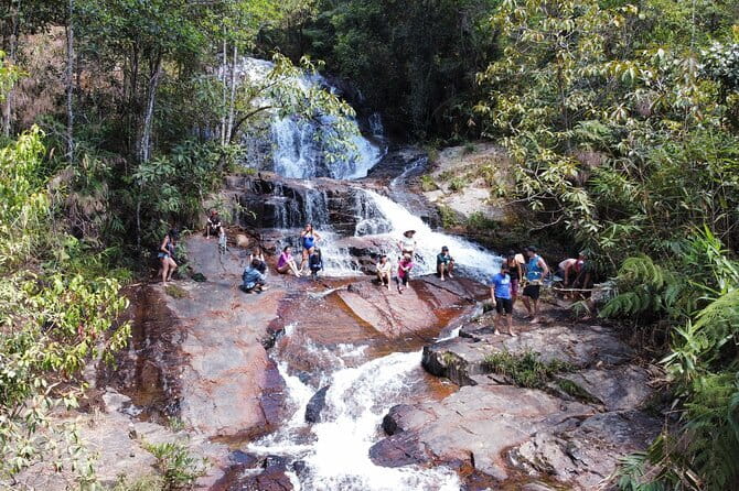 Trekking Tour to Hidden Waterfall & Sturgeon Farm for dog-lovers - Why seven dogs change a simple Da Lat hike