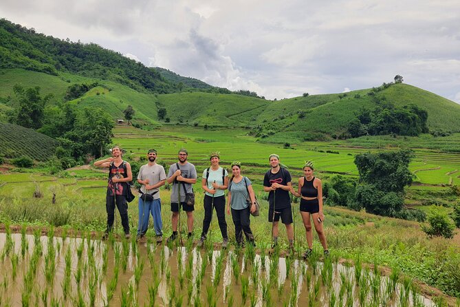 Trekking with Lunch cooked by Bamboo in the Chiang Rai jungle - Key points before you book