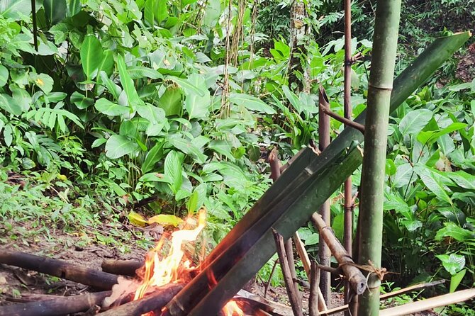 Trekking with Lunch cooked by Bamboo in the Chiang Rai jungle - What the $58.32 price covers