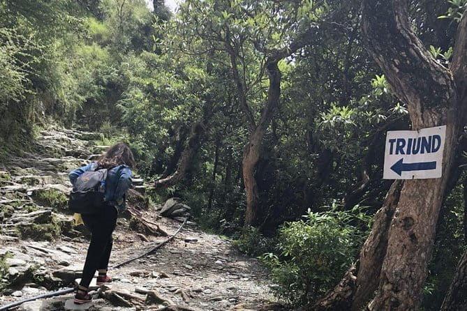 Triund Trek - The climb to Triund Hill
