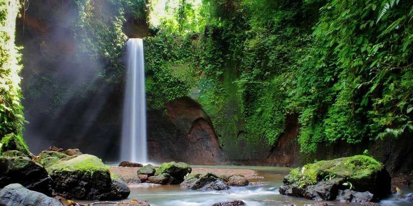 Ubud: Rice Terrace, Holy Water Temple & Waterfalls Trek Tour - Who should book this Ubud day?
