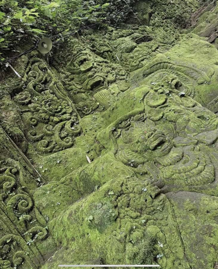 Ubud: Trekking Through Rivers & Forests to Three Waterfalls - Water jumping from 2 to 7 meters