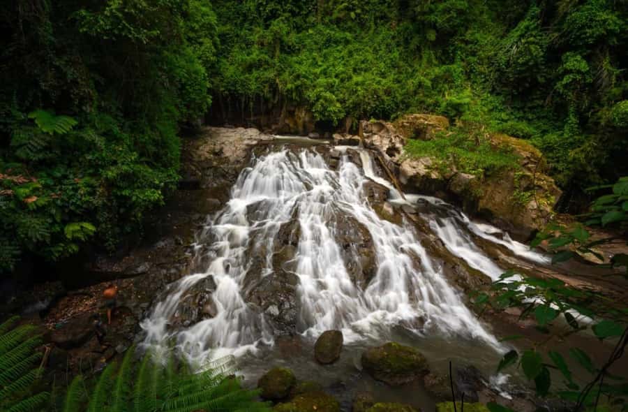 Ubud: Trekking Through Rivers & Forests to Three Waterfalls - What the guides add to the day