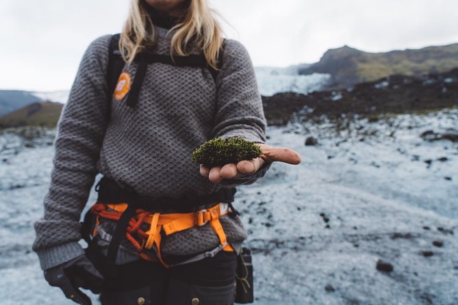 Vatnajökull Guided Beginner Glacier Walk with 4x4 Transfer - Key points to know before you book