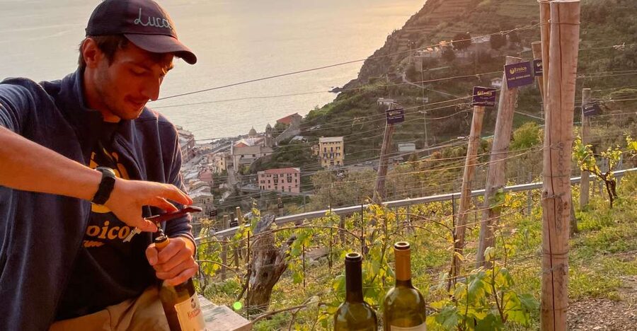 Vernazza: Panoramic Vineyard Trekking Tour w/ Wine Tasting - The climb above Vernazza is part of the experience