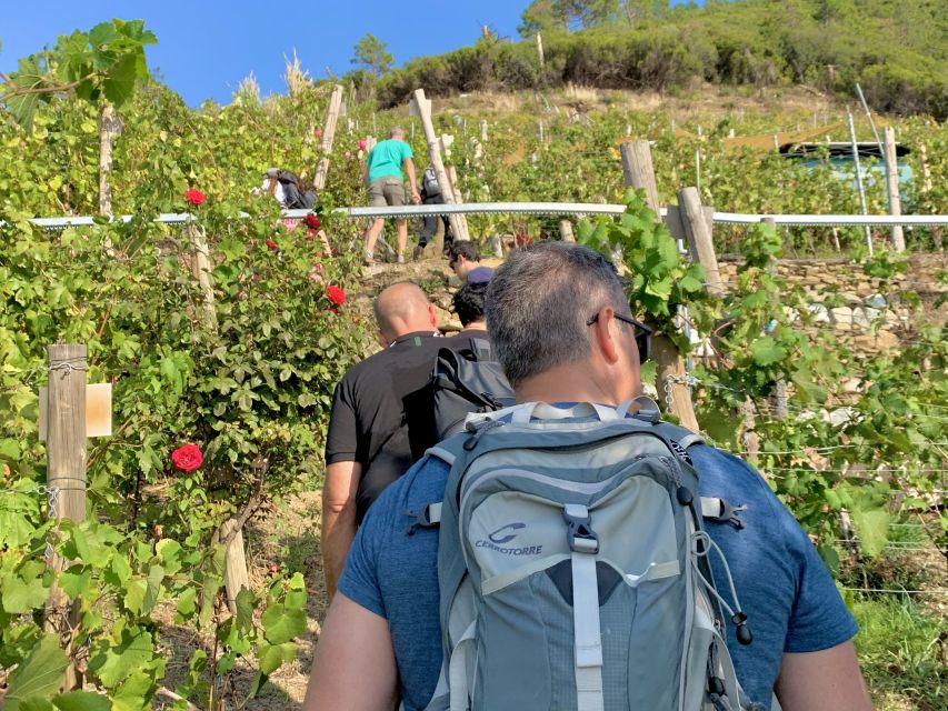 Vernazza: Panoramic Vineyard Trekking Tour w/ Wine Tasting - Eroico Vineyard gives the tasting a family connection