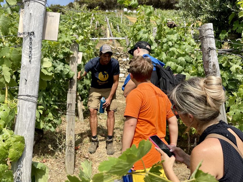 Vernazza: Panoramic Vineyard Trekking Tour w/ Wine Tasting - Vernazza looks different from the vineyard