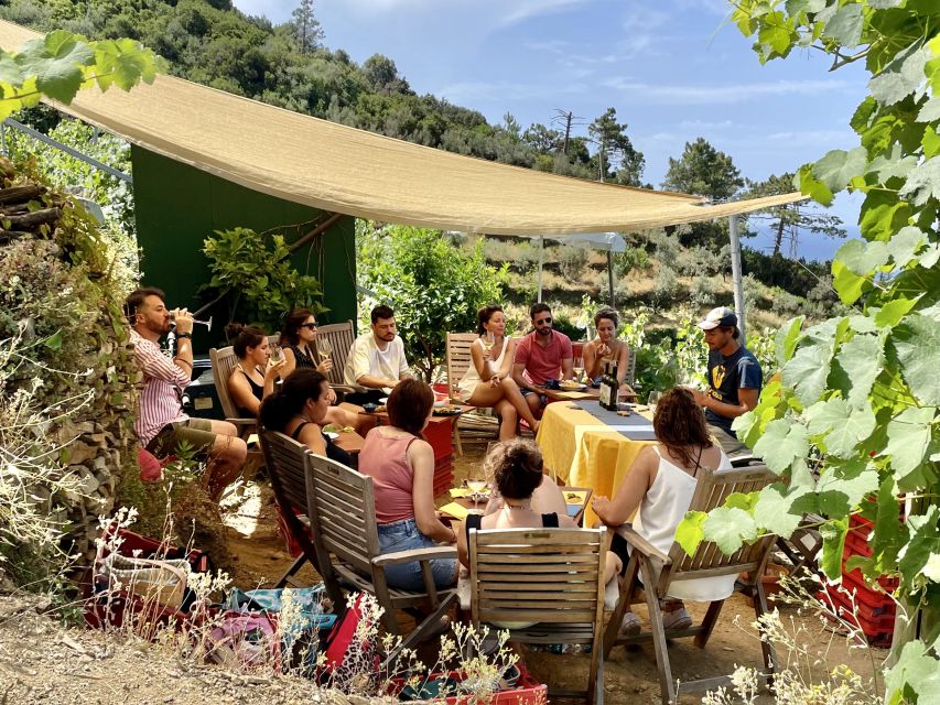 Vernazza: Panoramic Vineyard Trekking Tour w/ Wine Tasting - The walk back completes the three-hour outing