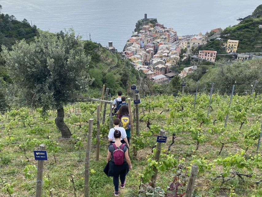 Vernazza: Panoramic Vineyard Trekking Tour w/ Wine Tasting - Who will enjoy this tour most