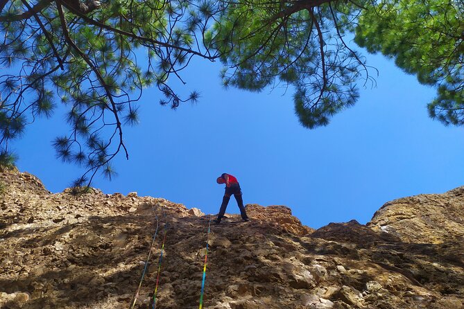 Via Ferrata in Gran Canaria. Vertical adventure park. Small groups - What is included for $78.58?