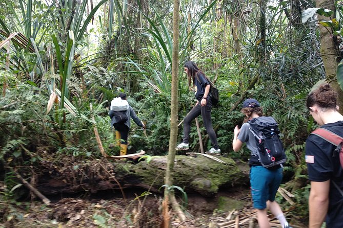 volcano hike and jungle trekking adventure - Lunch, water, and the practical details