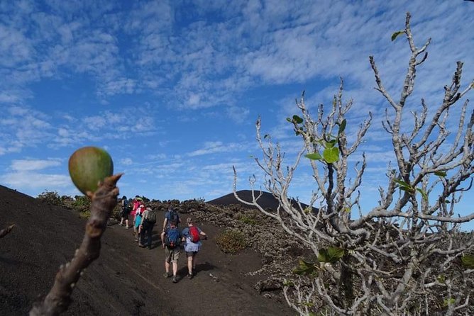 Volcano Trekking Tour (Timanfaya eruptions) - Lava fields, craters, and volcanic colors