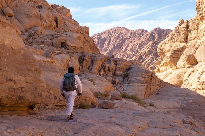 Wadi Rum: Mountain Hike with Lunch & Scenic Valley Tour - What the $127 price includes