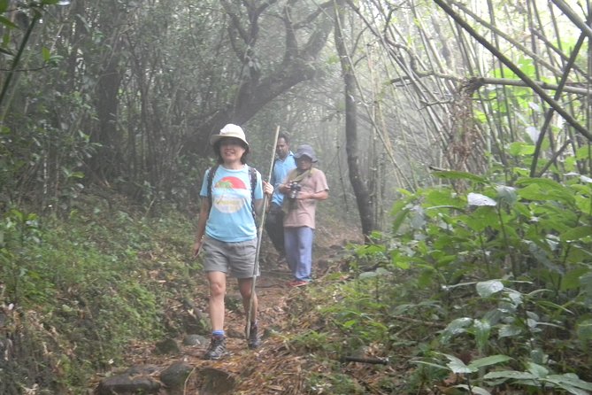 Waterfall Trekking in Knuckles Mountain Range - Walking with a local nature guide