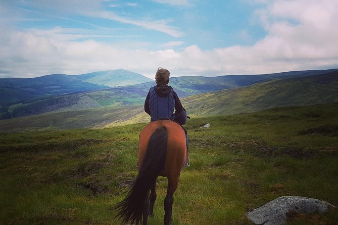 Wicklow Mountains Horse Trekking - Key points before you book