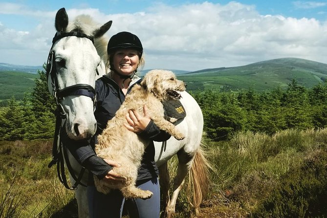 Wicklow Mountains Horse Trekking - What the 80-minute route feels like
