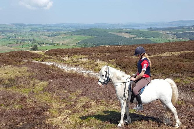 Wicklow Mountains Horse Trekking - Beginner help without making experienced riders bored