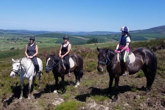 Wicklow Mountains Horse Trekking - The horses and the human welcome