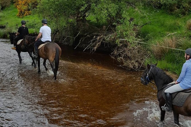 Wicklow Mountains Horse Trekking - Weather, clothing, and physical effort