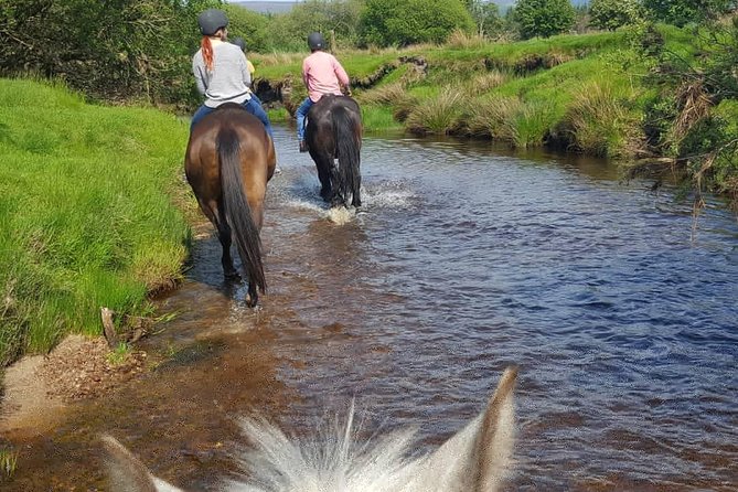 Wicklow Mountains Horse Trekking - Is $90.70 good value?