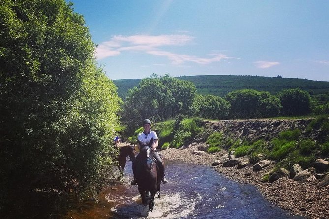Wicklow Mountains Horse Trekking - Who should book this trek?