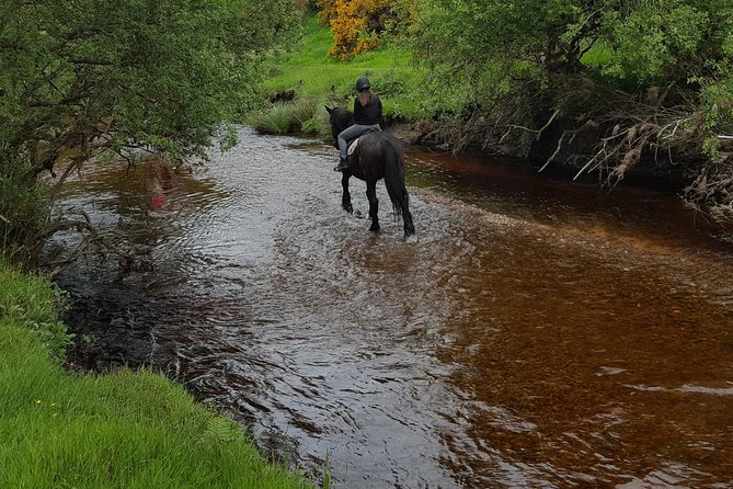 Wicklow Mountains Horse Trekking - Why the small group matters