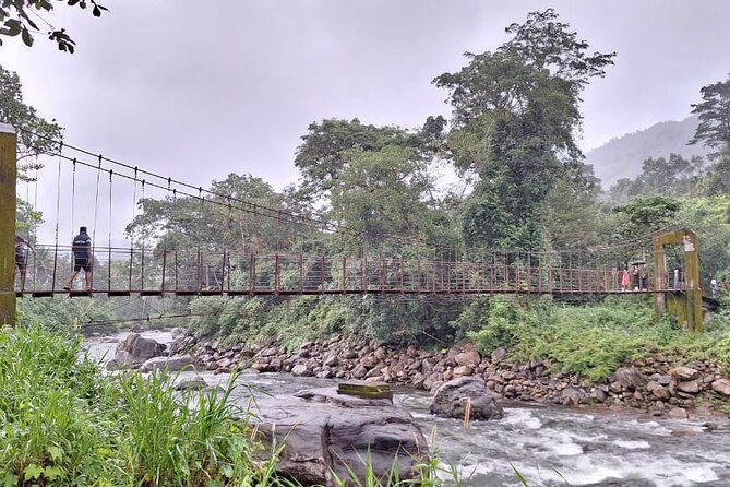 Wild Elephant Anakulam & Waterfalls Tour(munnar valley Trekking) - Starting at Letchmi Estate and its village