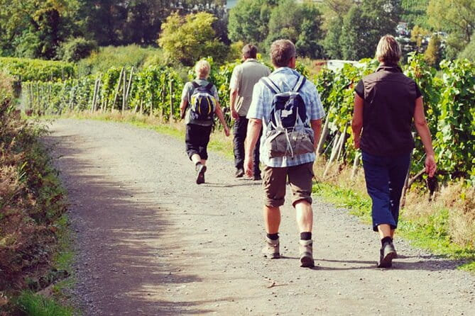Wine Hiking Sip & Trek - Key points to know before you book