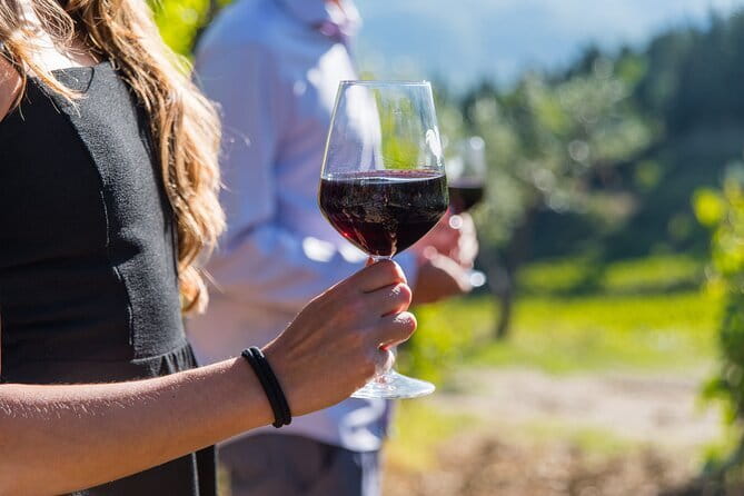 Wine Hiking Sip & Trek - The castle stop at 7.9 kilometers