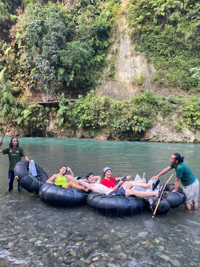 Wonderfull Orangutan Sumatera Jungle Trekking and tour - Why the $77 price can be good value