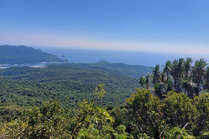 Wonders of Nui Chua National Park - Day Trek in Vinh Hy Bay - Why this route is more than a waterfall walk