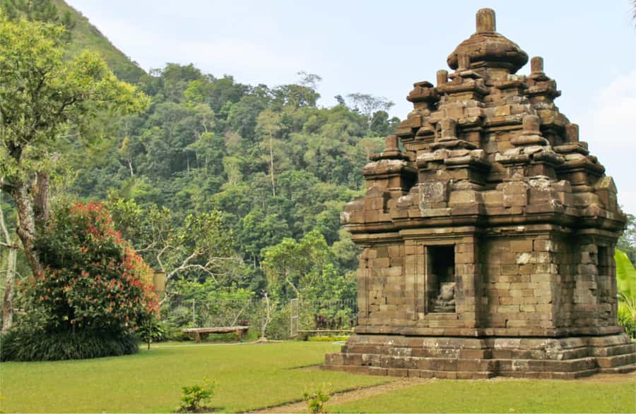 Yogyakarta: Selogriyo Temple Tour & Java Rice Terrace Trek - How much walking and effort should you expect?