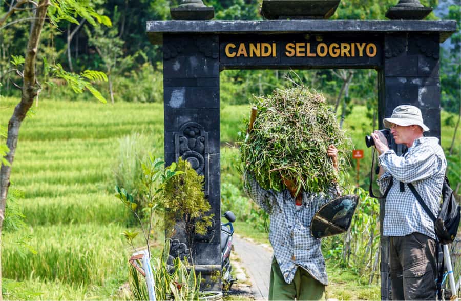 Yogyakarta: Selogriyo Temple Tour & Java Rice Terrace Trek - Should you book the Selogriyo Temple tour?